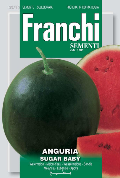 Sugar Baby Guerilla Seeds