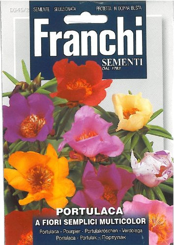 Portulaca, Multicolour
