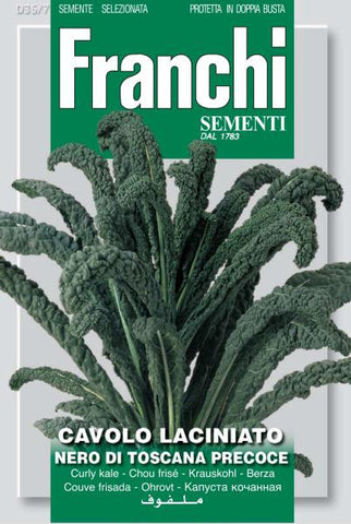 Tuscan Kale