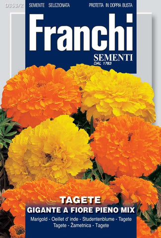 Marigold, Large Multicolour