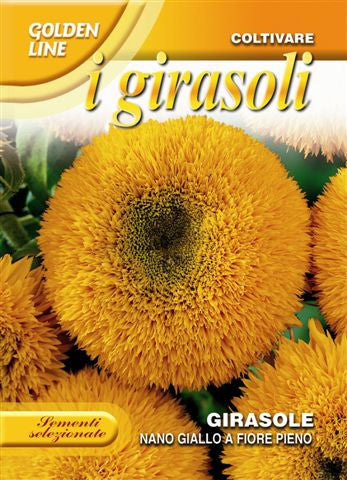 Nano Giallo A Fiore Pieno