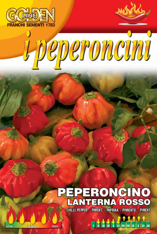 Peperoncino Lanterna Rosso
