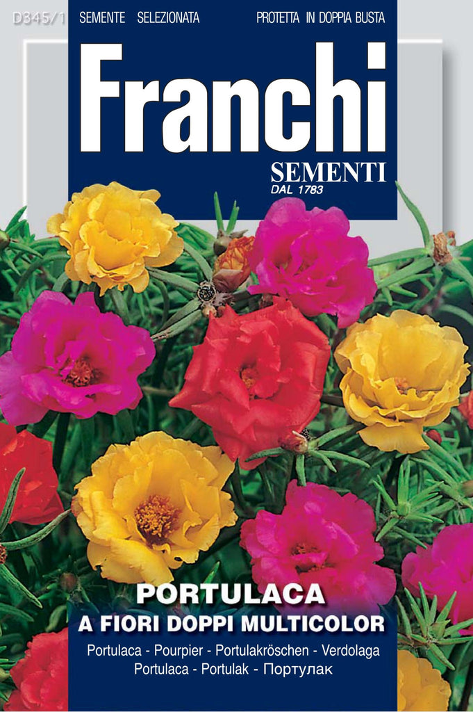 Portulaca Fiori Doppi- Multicolour