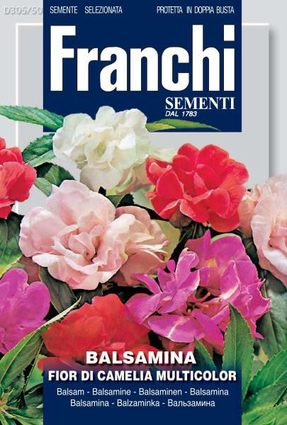 Balsamina, A Fiori Camelia, Multicolour