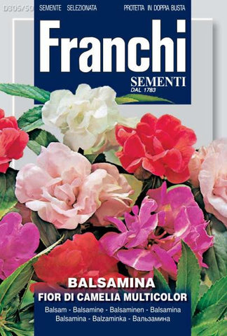 Balsamina, A Fiori Camelia, Multicolour