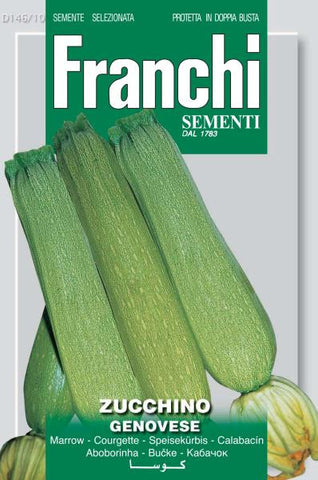 Genovese Zucchino