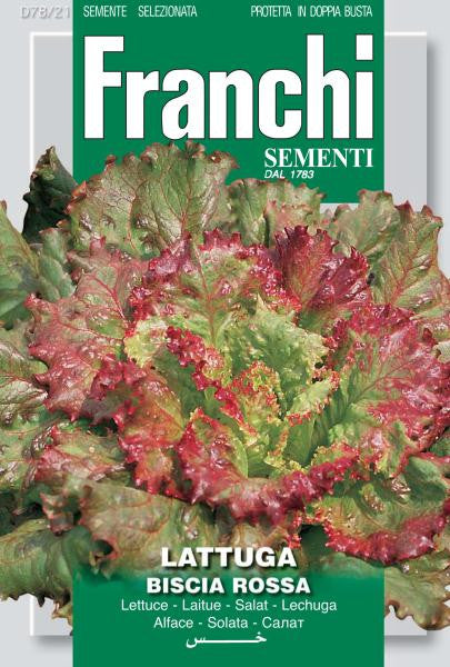 Biscia Rossa - Lettuce
