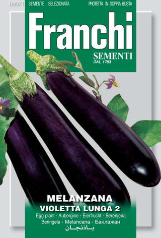 Eggplant Long Violet