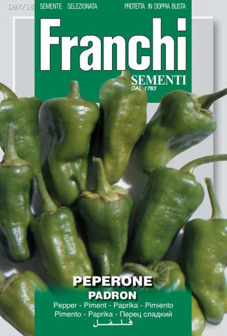 Padron Chilli Pepper - Peperone Padron DBO